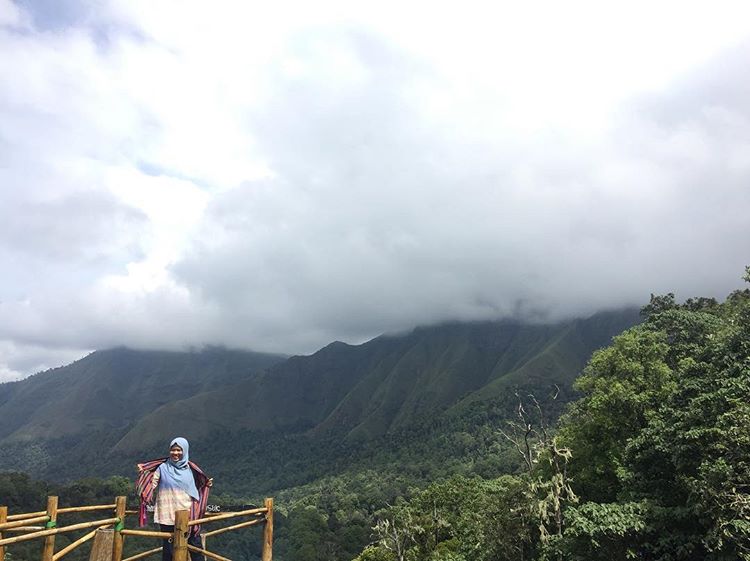 Taman Wisata Pusuk Sembalun, sumber ig zayazook