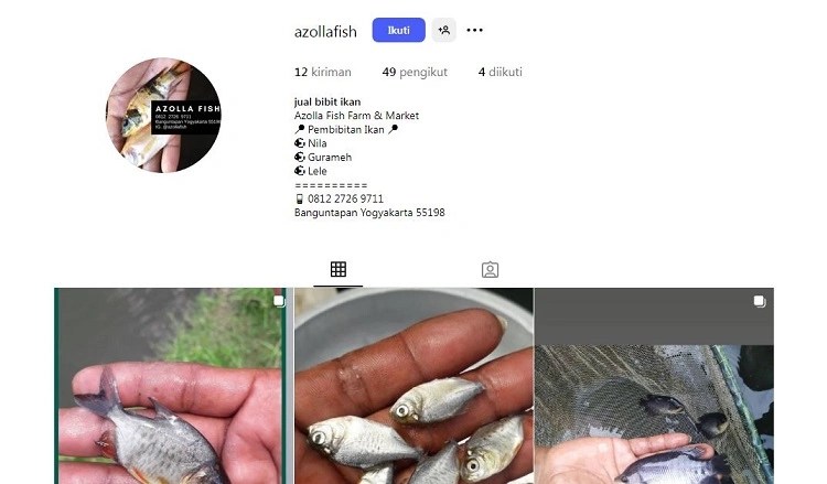 Azolla Fish Farm, Sumber: instagram @azollafish