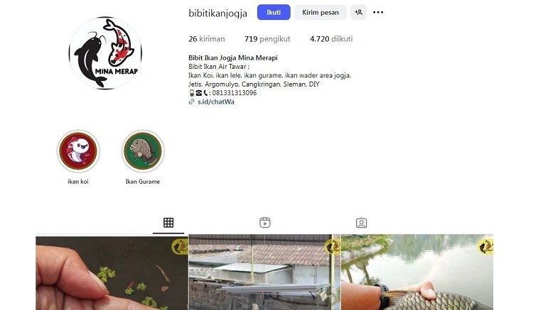 Bibit ikan Jogja Mina Merapi, Sumber: instagram @bibitikanjogja