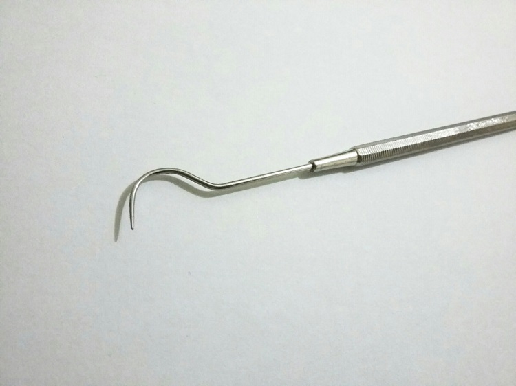 Sonde atau eksplorer, Sumber: gelarsramdhani.com